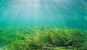 images_003